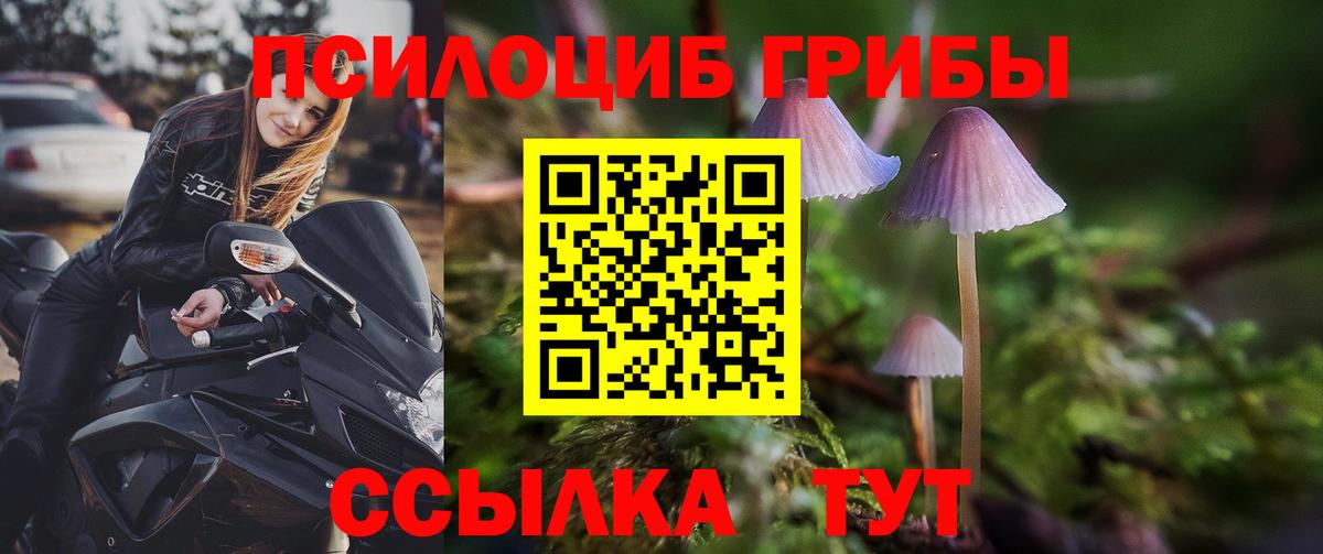 Видное  Псилоцибиновые грибы GOLDEN TEACHER  Галлюциногенные грибы Cubensis  Вход с VPN 